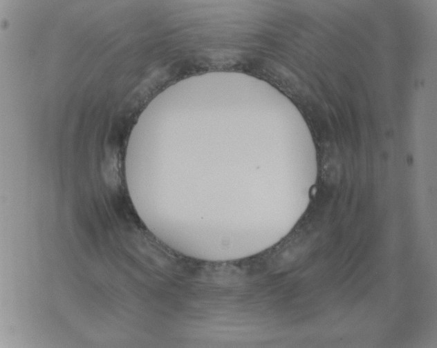 X0000074310866200609152004