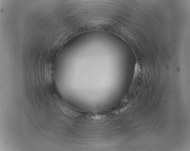 X0000074310868200609152004