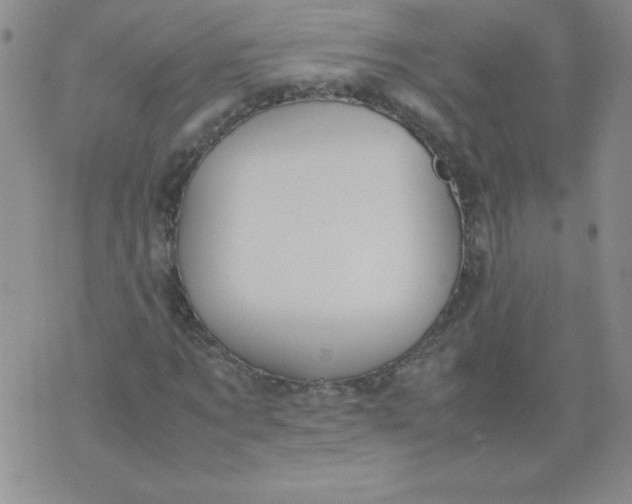 X0000074310869200609152004