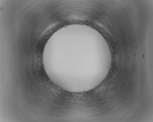 X0000074310870200609152004