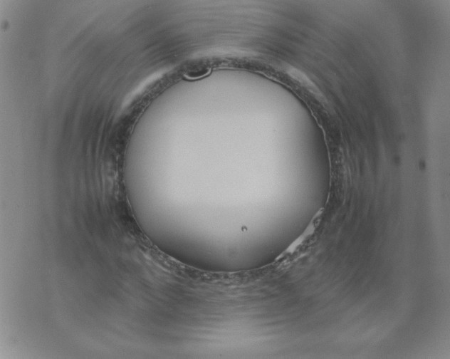 X0000074310872200609152004