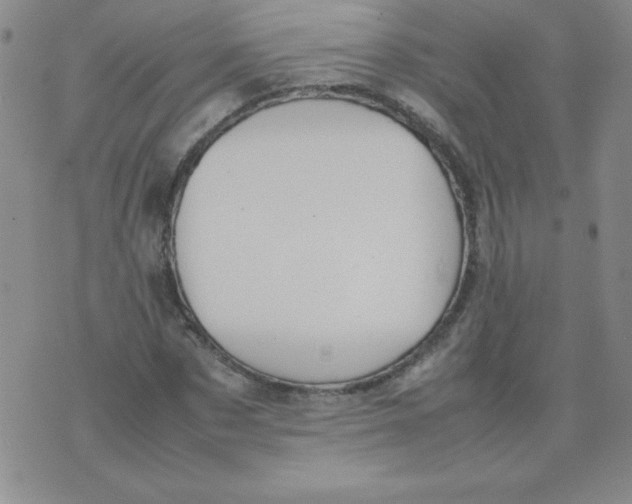 X0000074310873200609152004