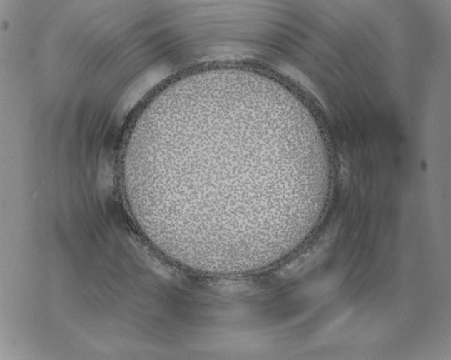 X0000074310874200609152004