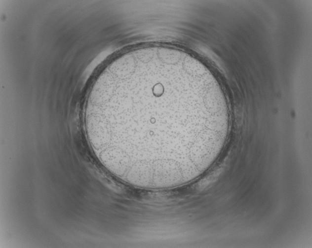 X0000074310875200609152004