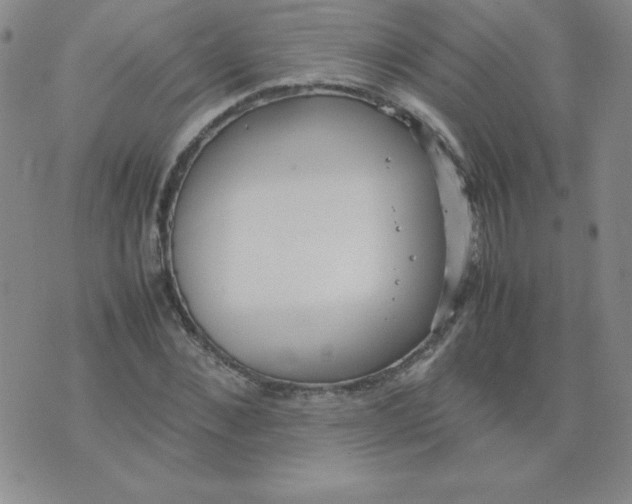 X0000074310876200609152004