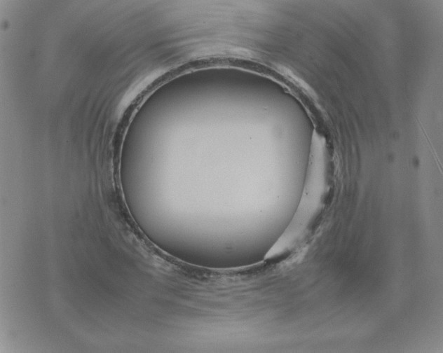 X0000074310877200609152004