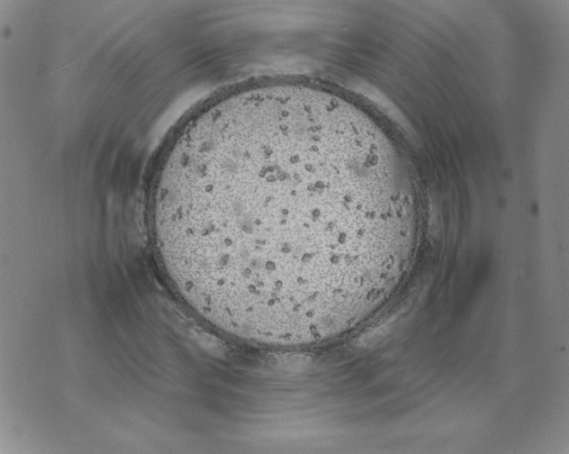 X0000074310878200609152004