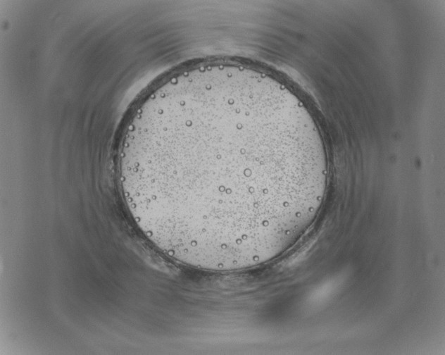 X0000074310879200609152004