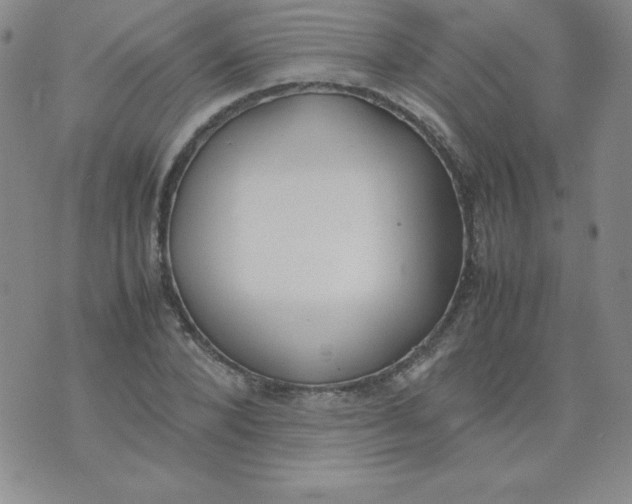 X0000074310880200609152004