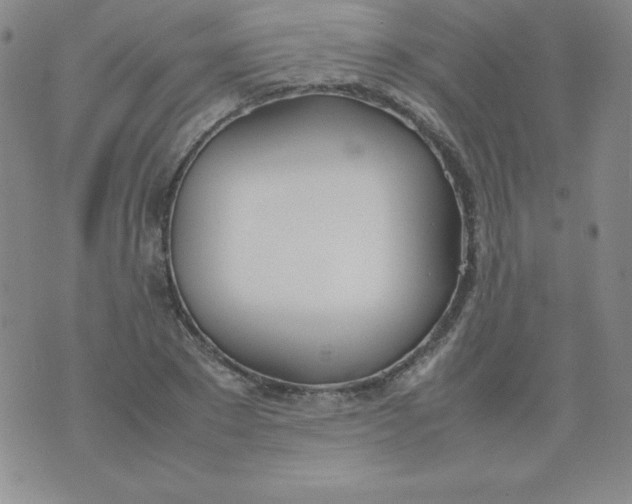 X0000074310881200609152004