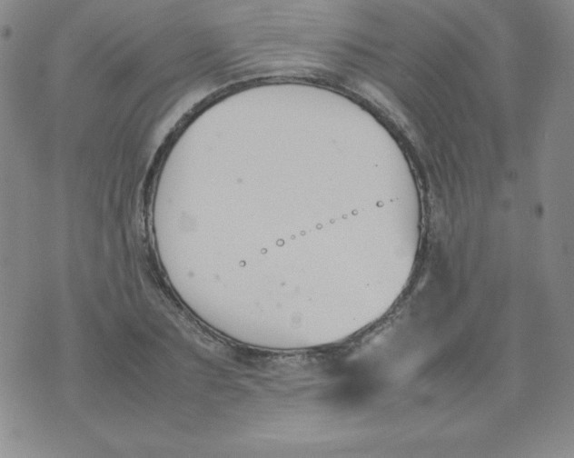 X0000074310883200609152004