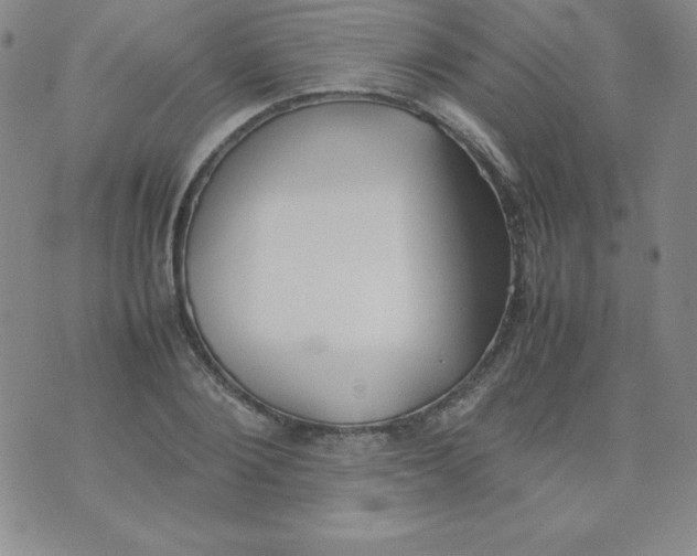 X0000074310884200609152004