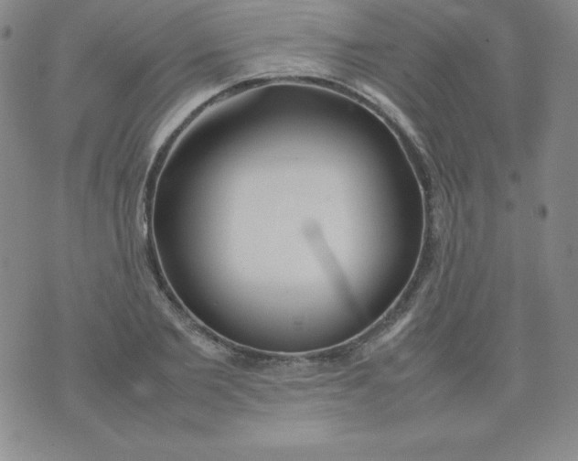 X0000074310885200609152004