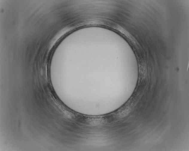 X0000074310886200609152004