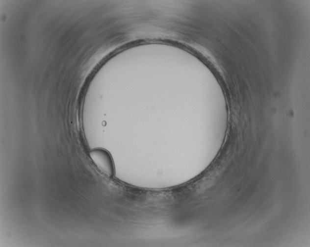 X0000074310887200609152004