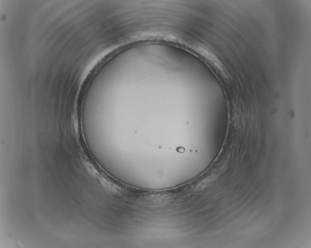 X0000074310888200609152004