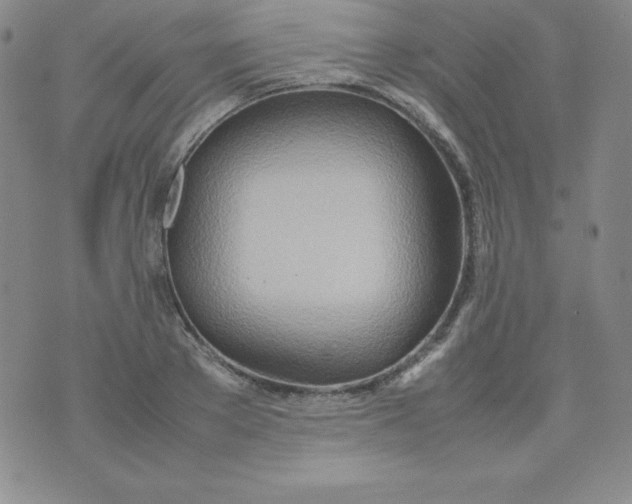 X0000074310889200609152004