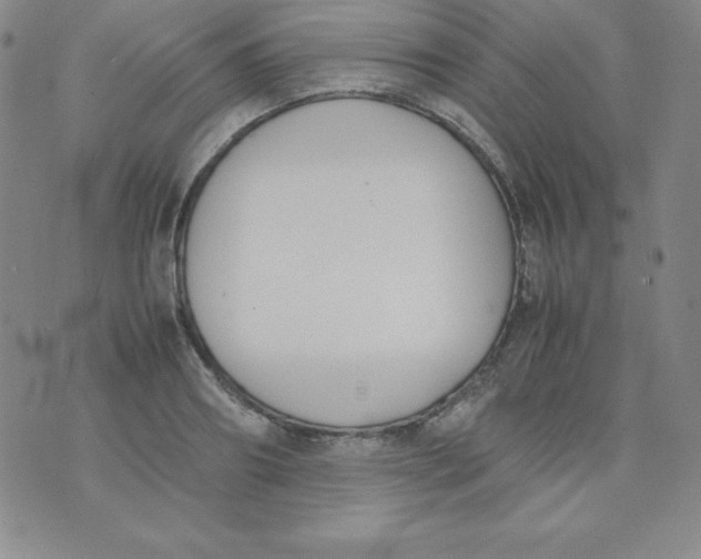 X0000074310890200609152004