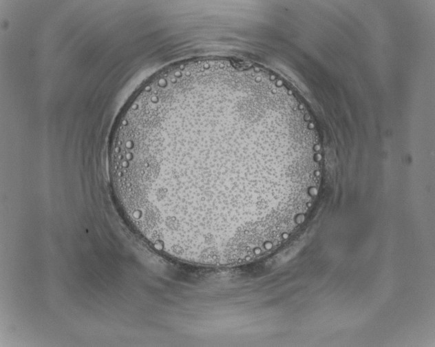 X0000074310891200609152004