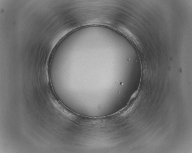 X0000074310892200609152004