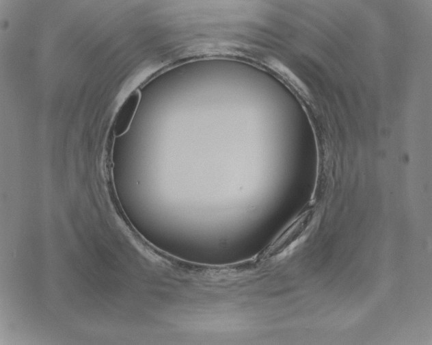 X0000074310893200609152004