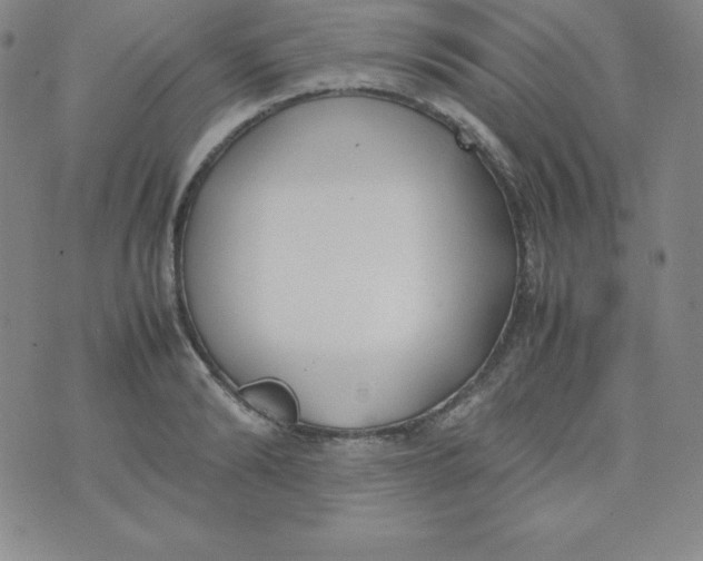 X0000074310894200609152004