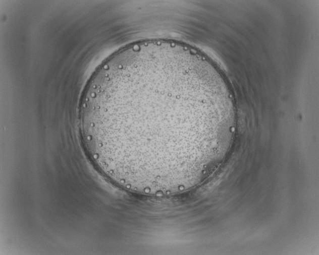 X0000074310895200609152004