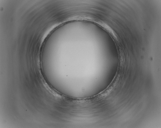 X0000074310896200609152004