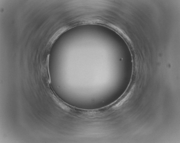 X0000074310897200609152004