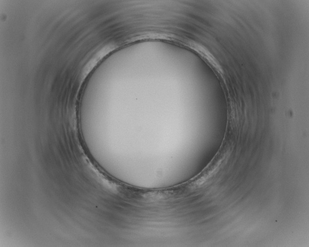 X0000074310898200609152004