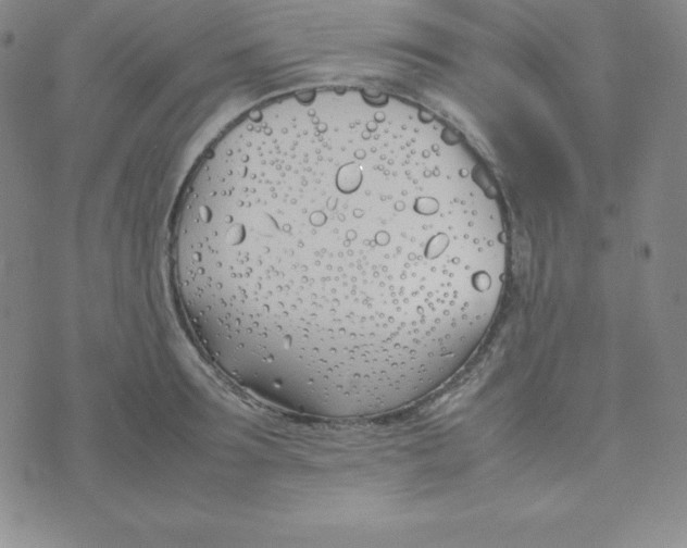 X0000074310899200609152004