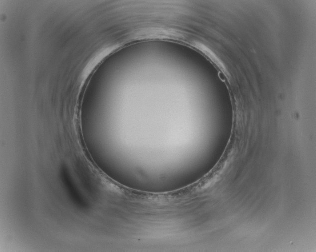 X0000074310901200609152004