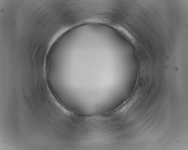 X0000074310902200609152004