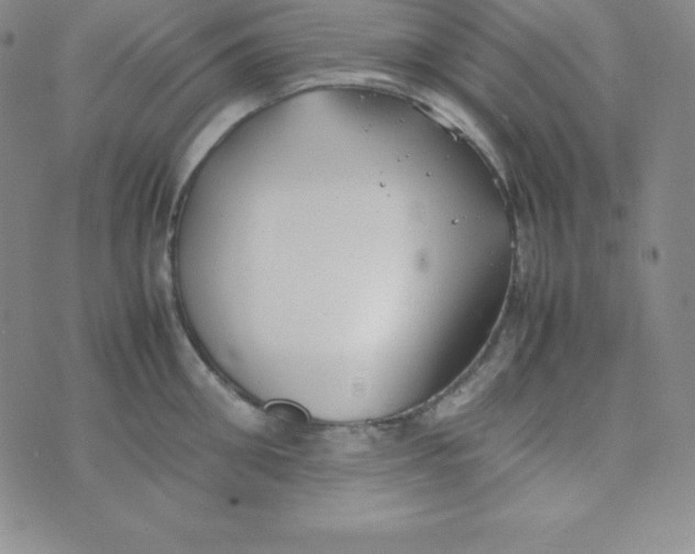 X0000074310906200609152003