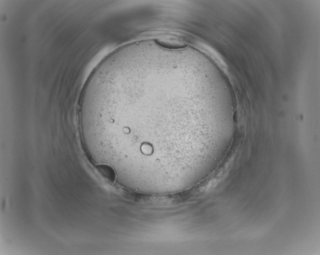 X0000074310907200609152003