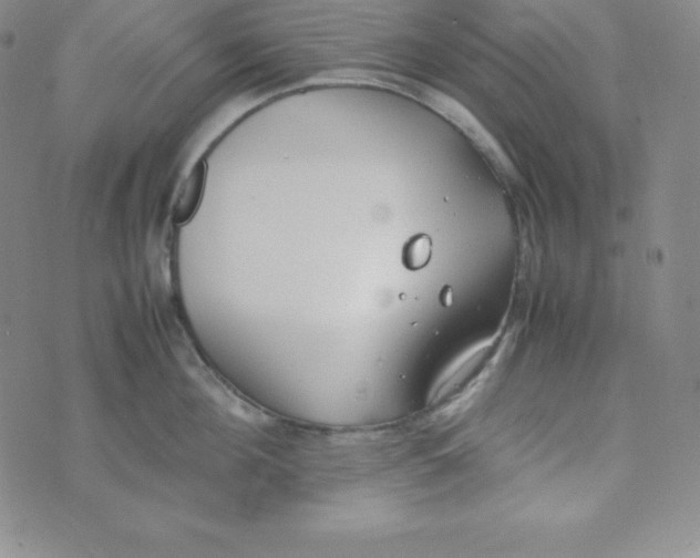 X0000074310908200609152003