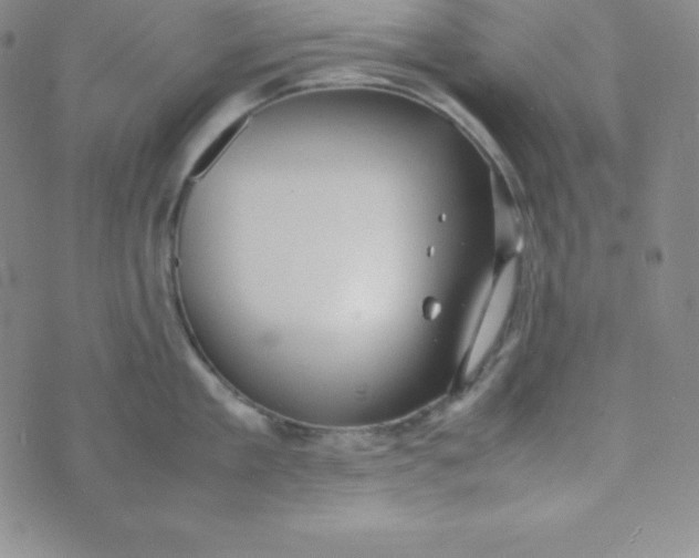 X0000074310909200609152003