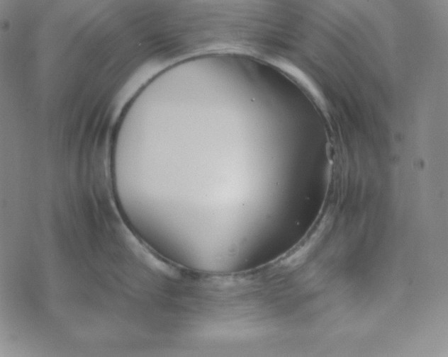 X0000074310910200609152003