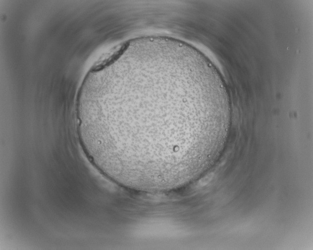 X0000074310911200609152003