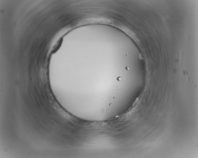 X0000074310912200609152003