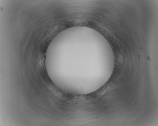 X0000074310914200609152003