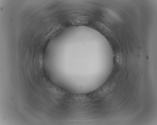 X0000074310915200609152003