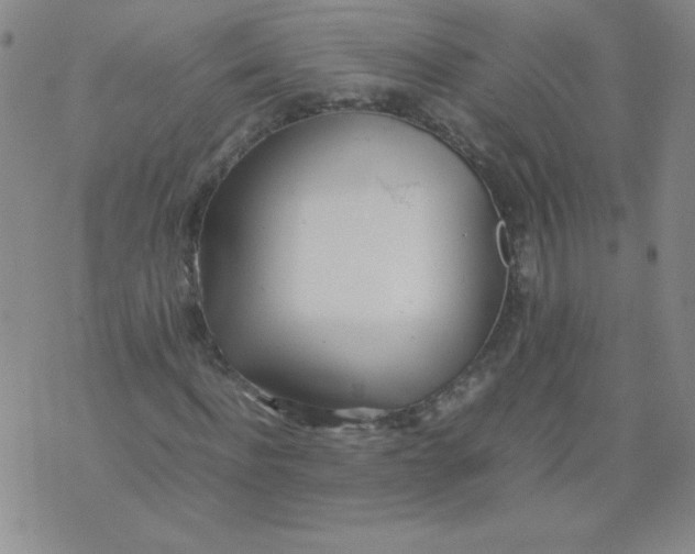 X0000074310916200609152003