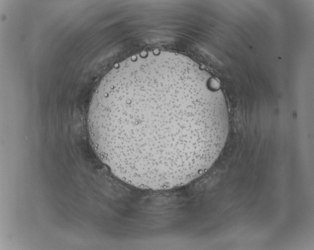 X0000074310917200609152003