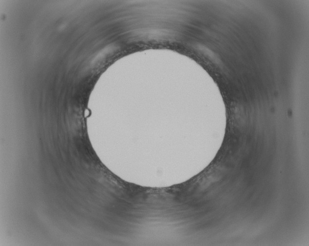 X0000074310918200609152003