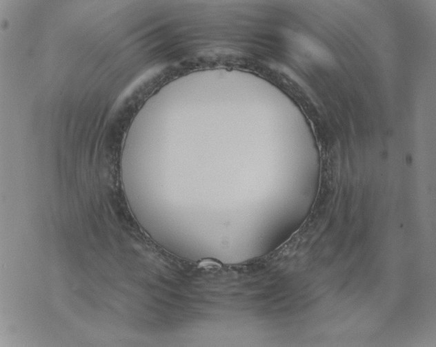 X0000074310919200609152003