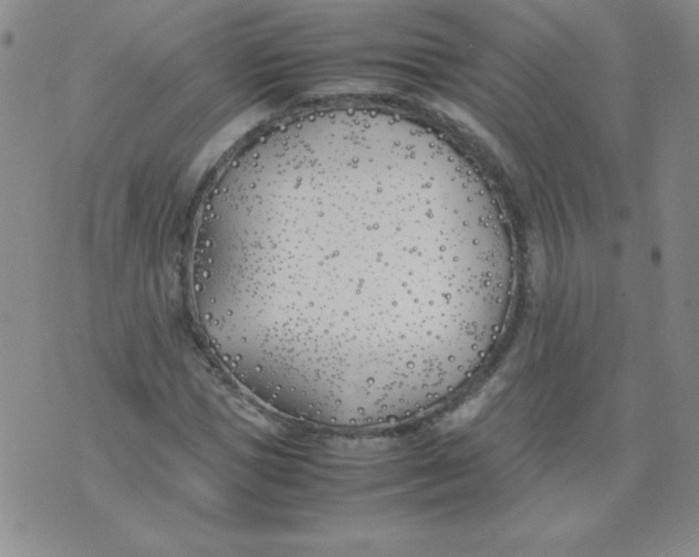 X0000074310921200609152003