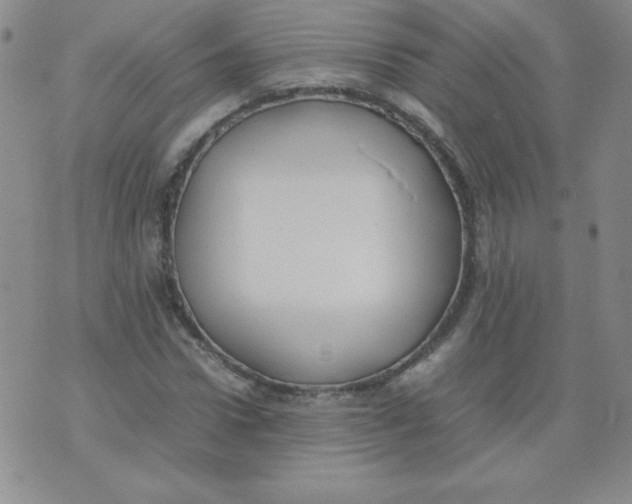 X0000074310922200609152003