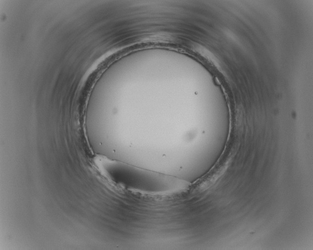 X0000074310923200609152003