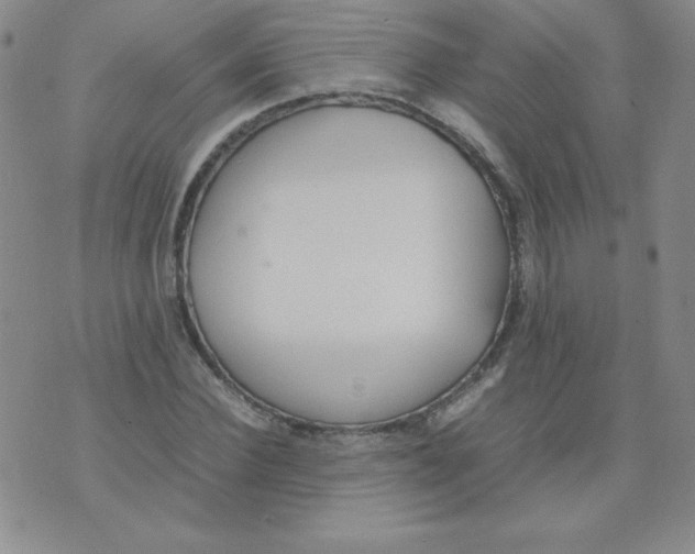 X0000074310924200609152003